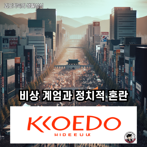 비상계엄령과-정치적혼란-사진
