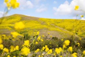제주-가볼-만한-곳-6