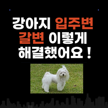 강아지 입주변 갈변