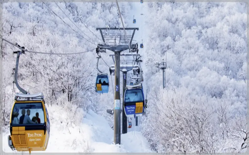 발왕산 케이블카_1