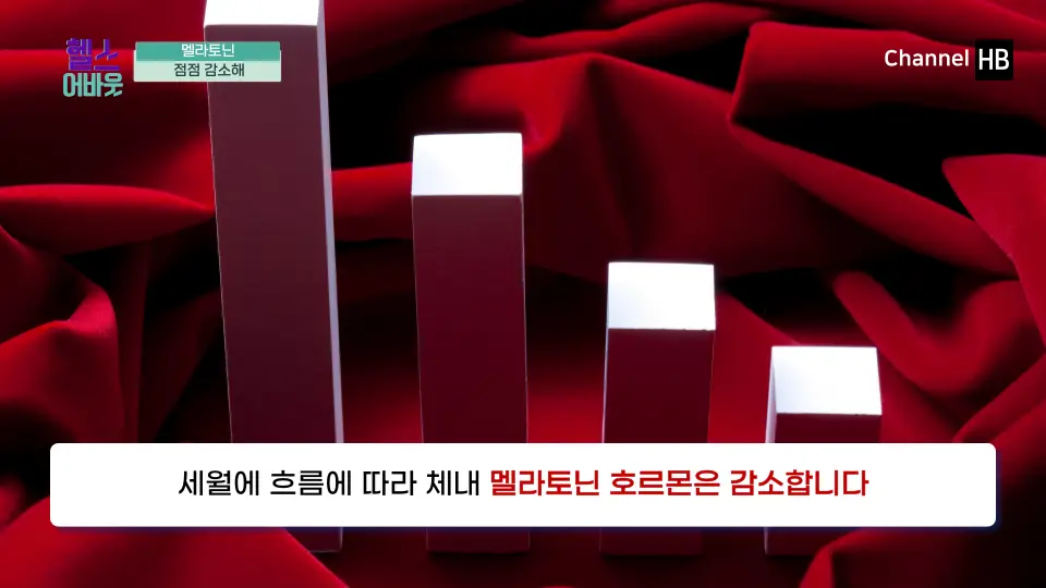 멜라토닌 효능 부작용 복용법 영양제 구입처