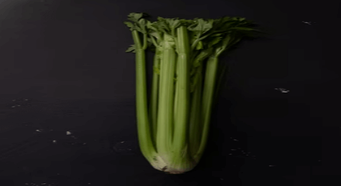 싱싱해 보이는 셀러리