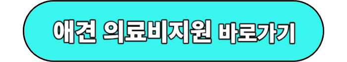 애견