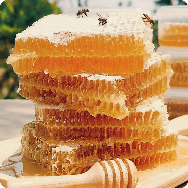 물설사-멈추는-방법