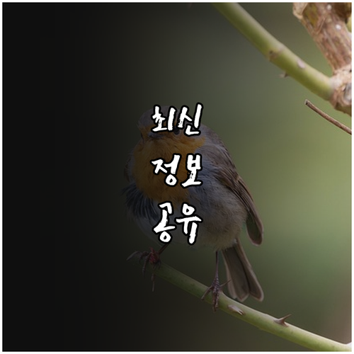 2025 구미시 임산부 영유아 무료 ..