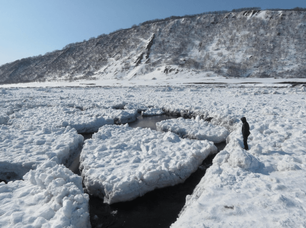 제로웨이스트 제품 디자인의 혁신과 지속 가능한 브랜드 전략