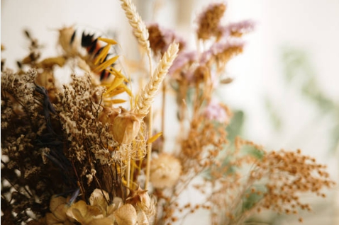 드라이플라워로 초보자도 쉽게 분위기 바꾸는 사진