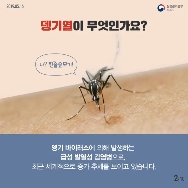 뎅기열이란무엇인가