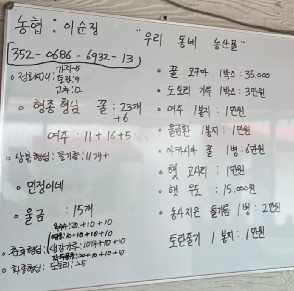 백반기행 세종시 콩백반 식당 콩대박