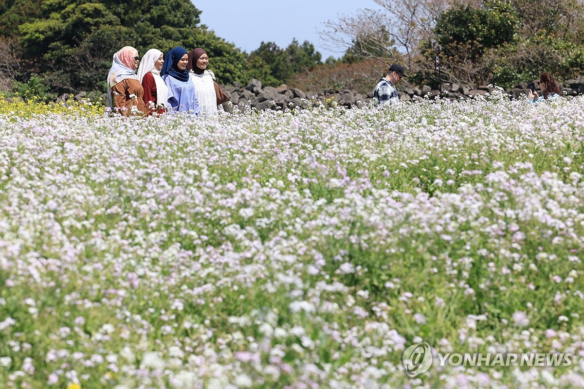 본문 참고 이미지 1