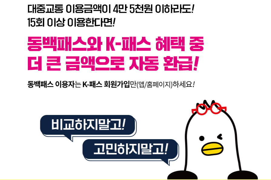 동백패스 관련 홍보이미지