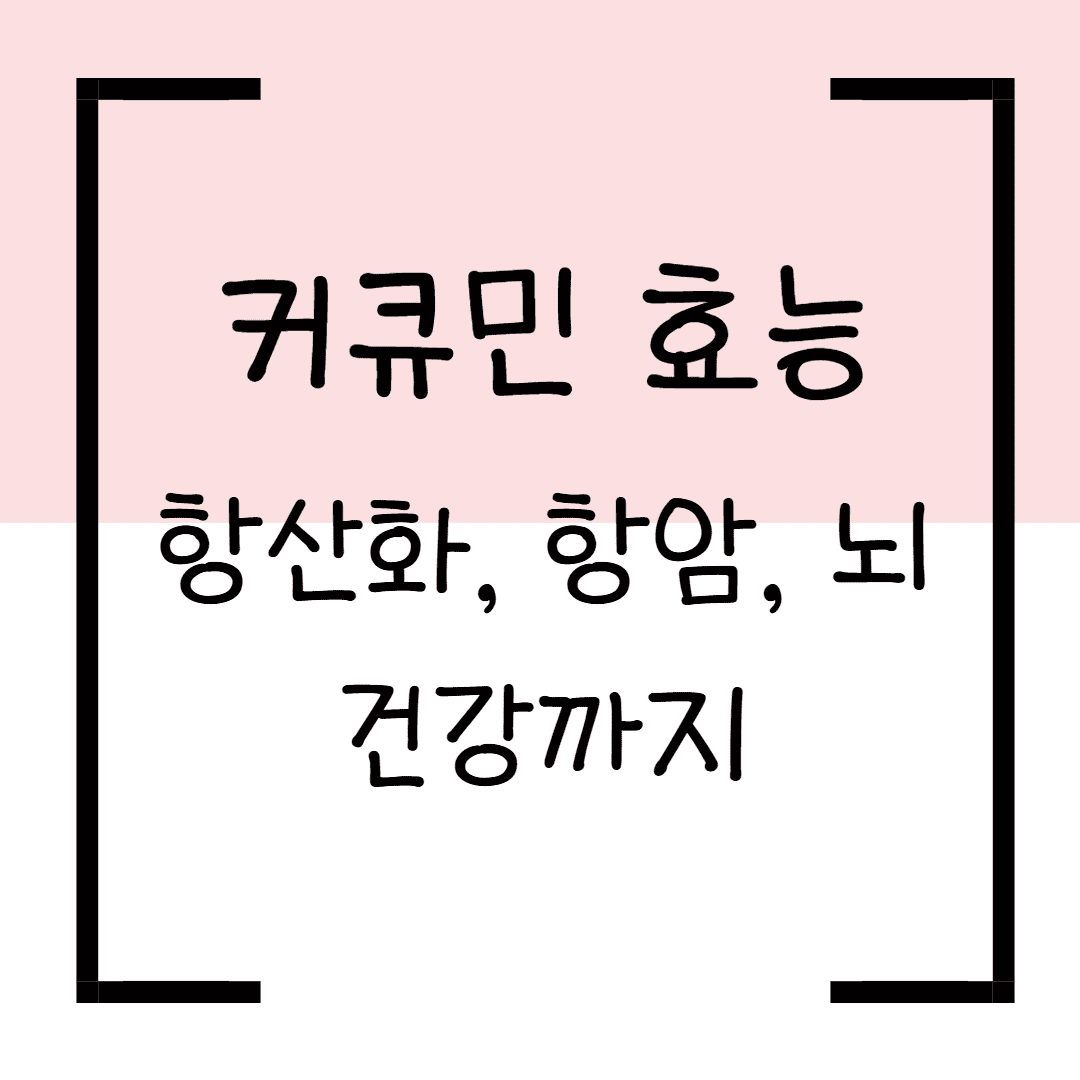 커큐민 효능 총정리