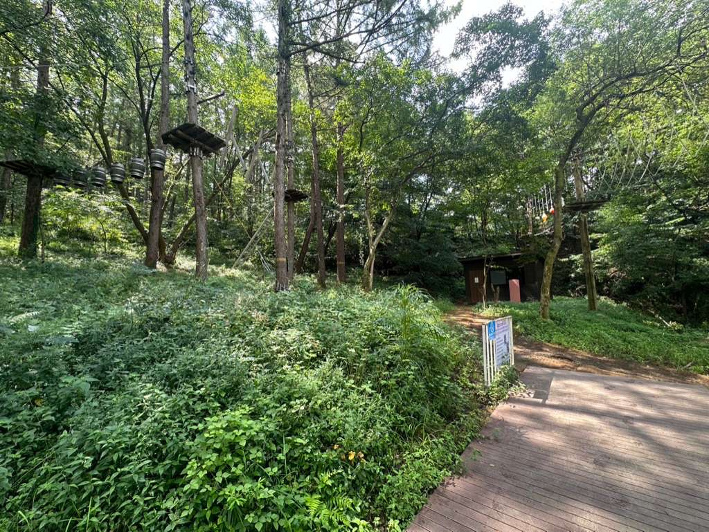 포레스트 어드벤처