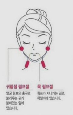 데콜테 마사지(림프마사지)