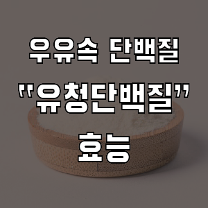 알고 먹으면 좋은 유청단백질 효능