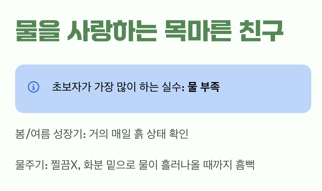 물을 사랑하는 목마른 친구