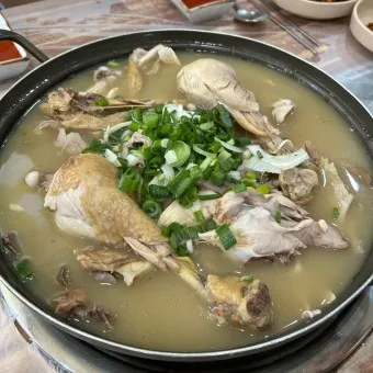 옻닭 부작용 알레르기 황금레시피_4