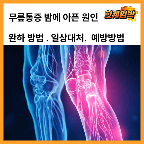 무릎 통증 밤에 아픈 원인과 완화 방법 지금 확인하세요!