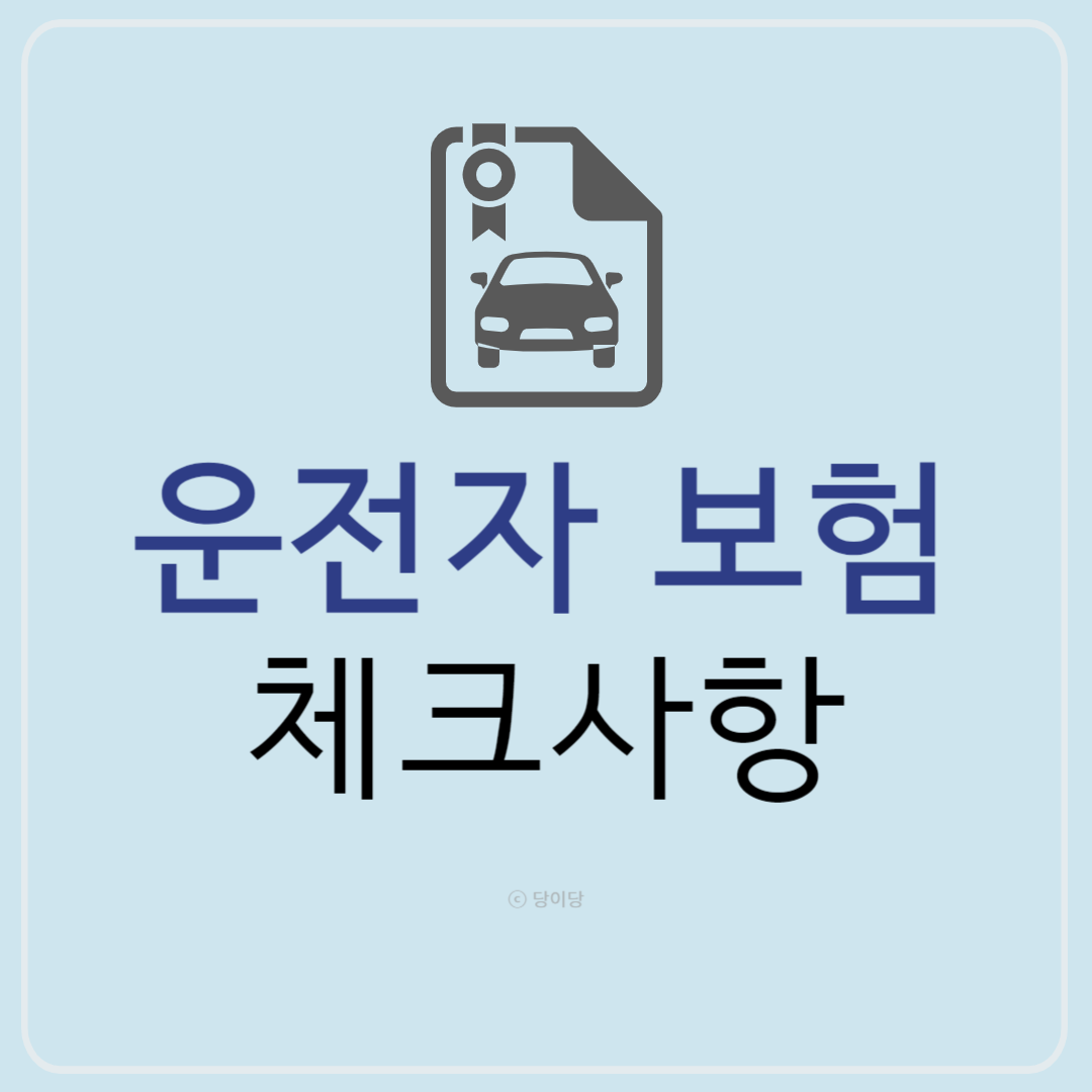 운전자보험 체크사항 운전자 보험 가입
