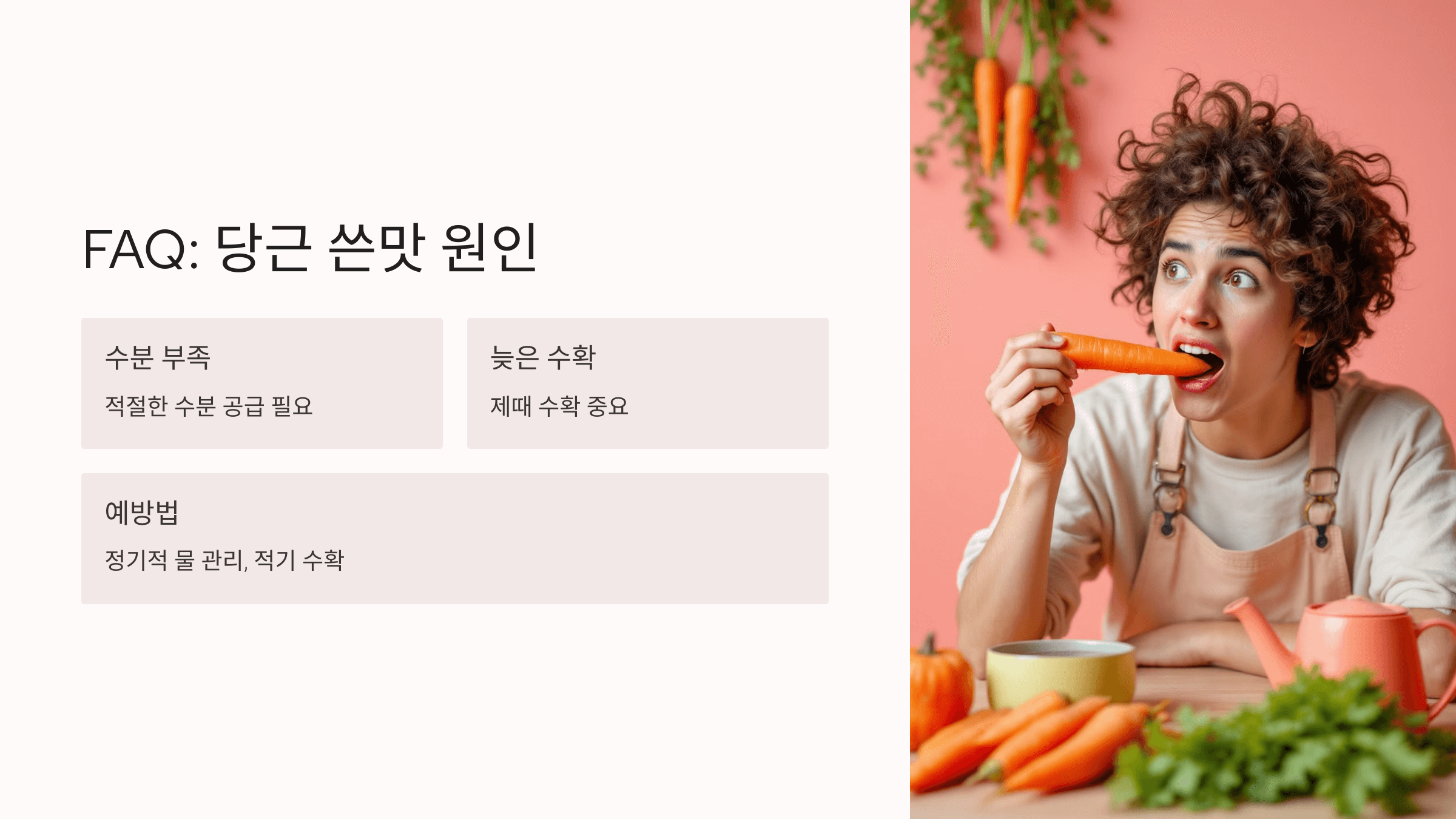 당근 사진입니다.