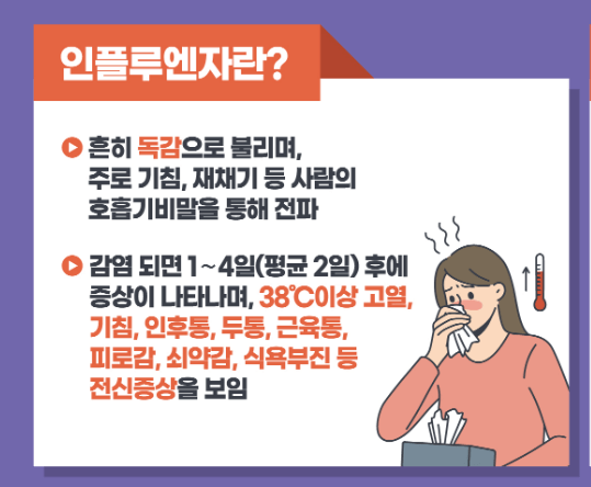 인플루엔자 독감 안내문