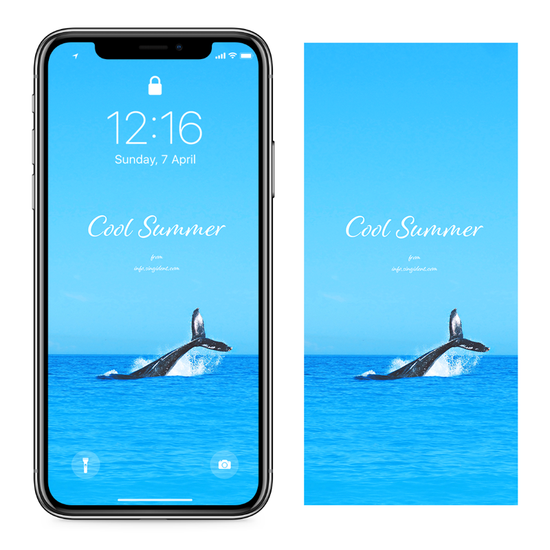 07 고래 C - Cool Summer 아이폰여름배경화면