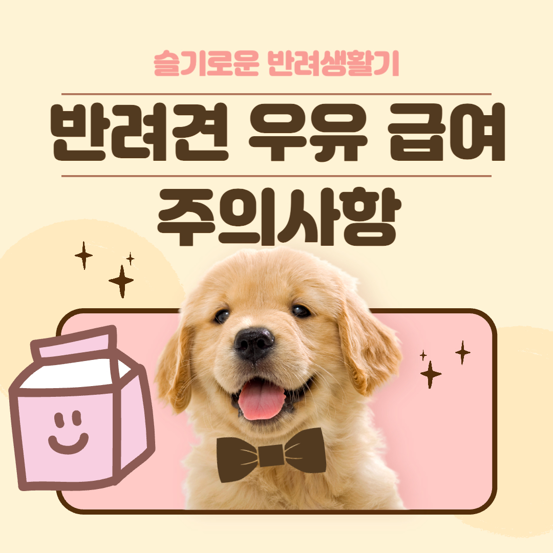 반려견 우유 급여 주의사항