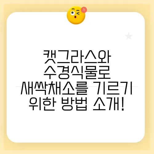 캣그라스와 수경식물로 새싹채소를 기르기 위한 방법 소개!