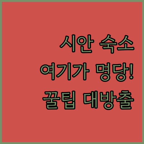 시안 자유여행 숙소 위치 선정 팁과 ..