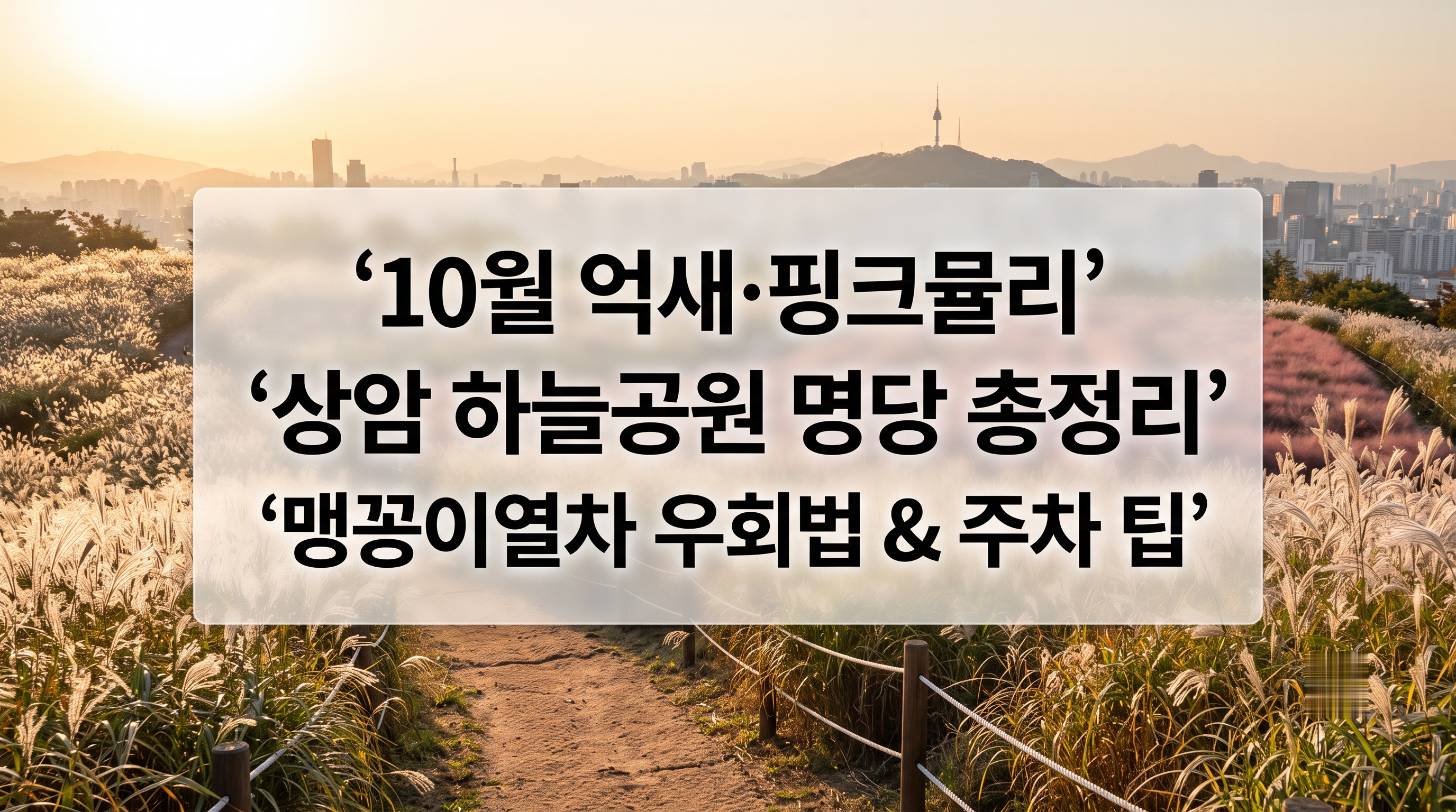 10월 상암 하늘공원 억새 명당과 주차 팁 안내