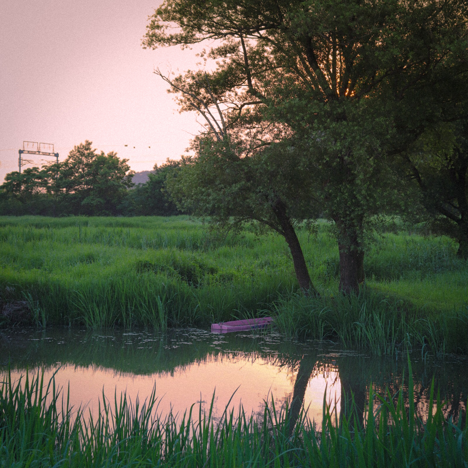 김해 가볼만한곳 - 화포천습지 생태공원