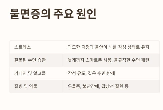 불면증의 주요 원인