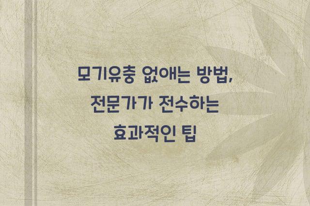 모기유충없애는방법