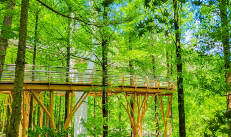 장태산 자연휴양림