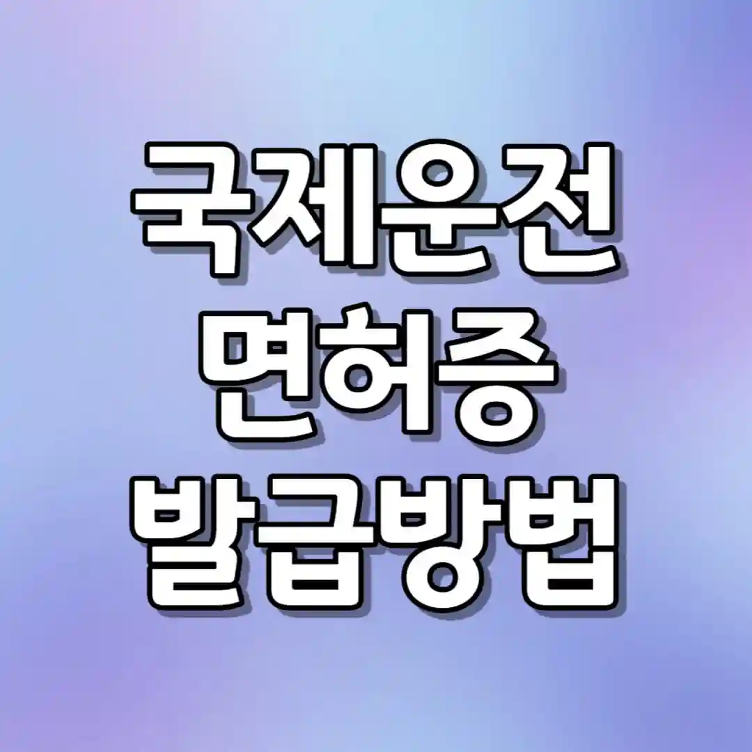 국제운전면허증 발급 방법&#44; 온라인 방문 신청