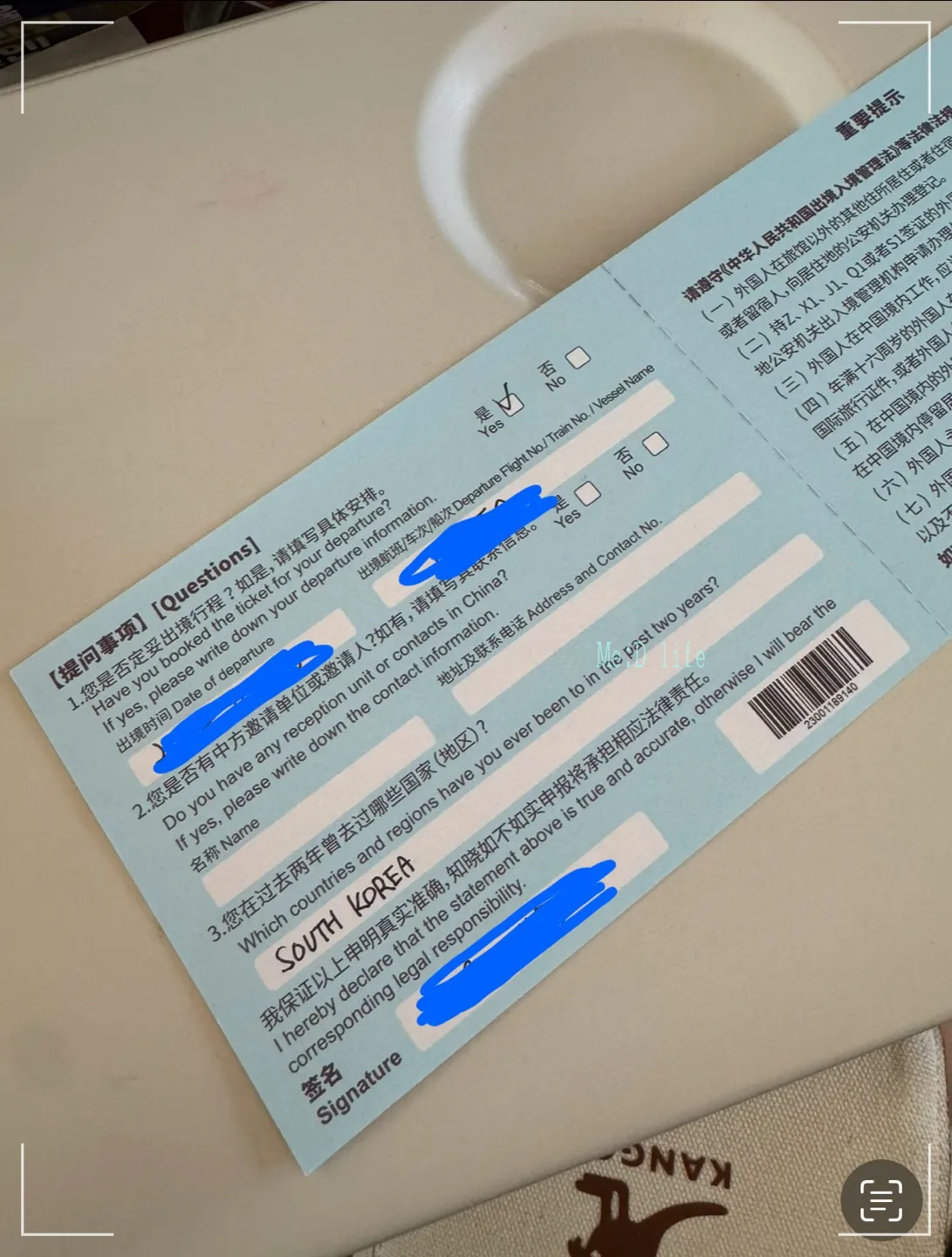 입국심사서-중국-난징-뒷면