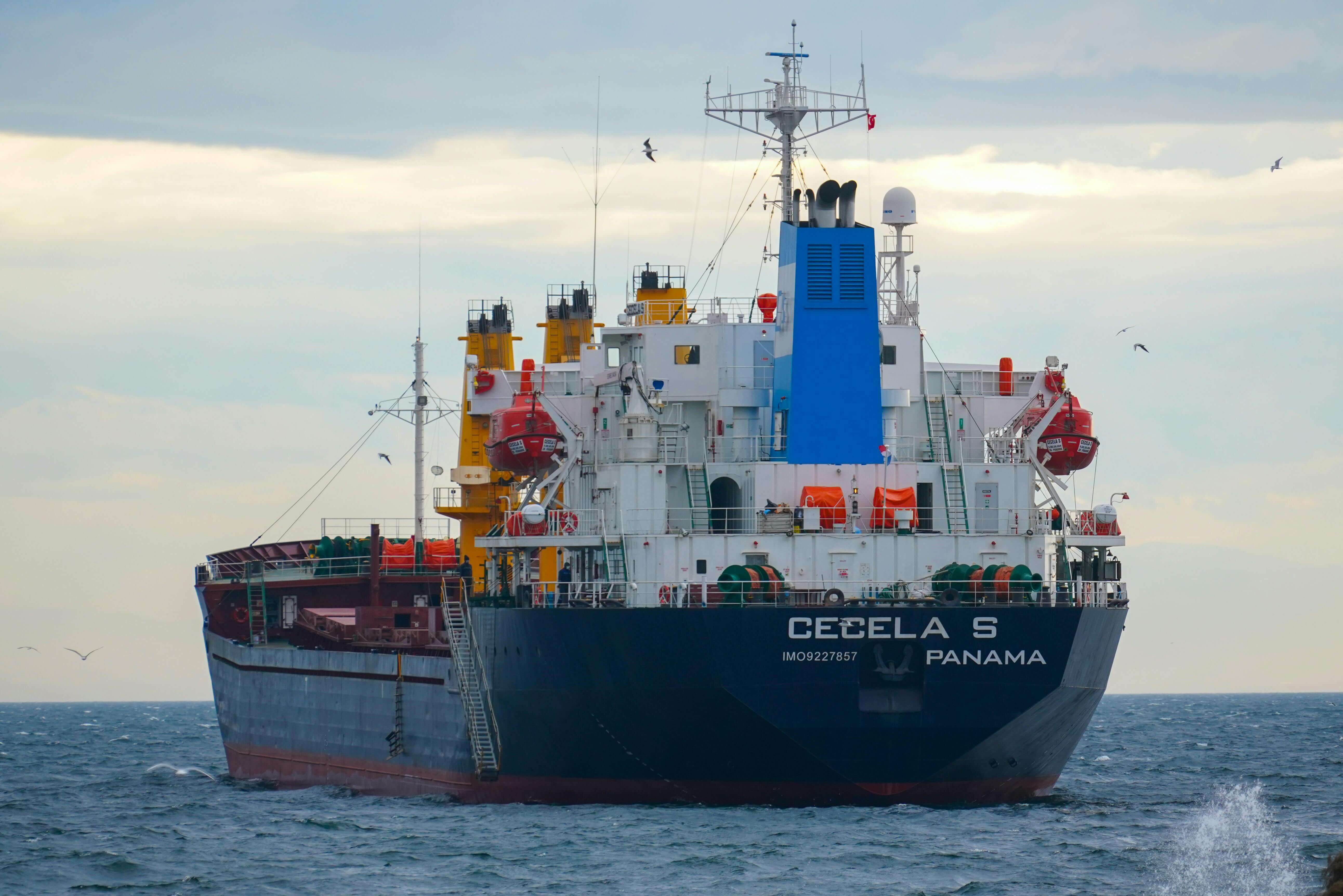 2025 중고차 수출 시세 흐름과 인기 차종