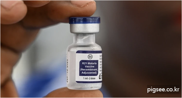 질병-감염-인간1