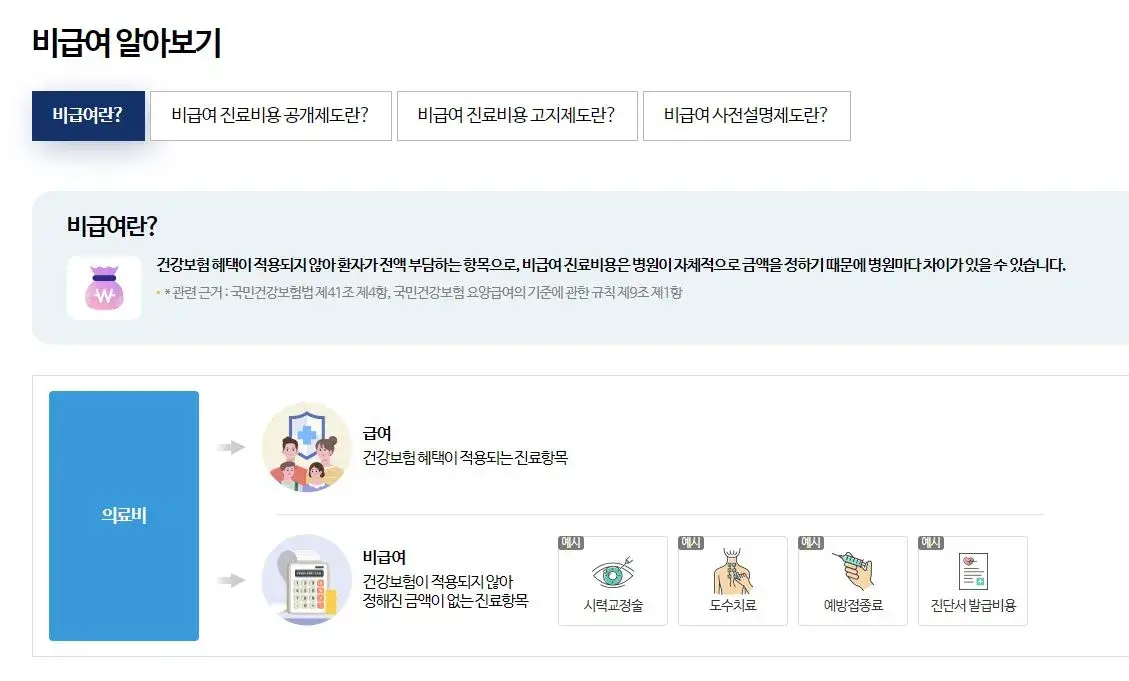 비급여란