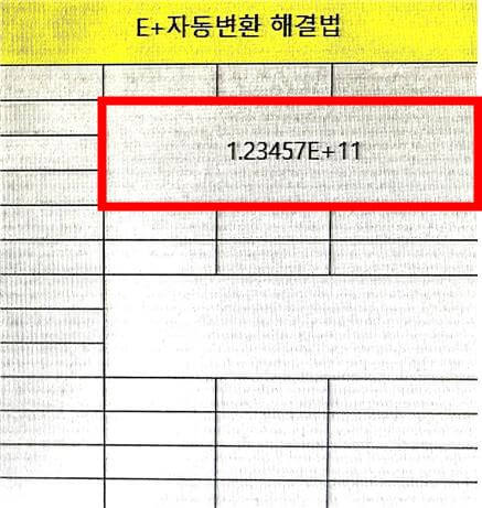 숫자가 지수표기법으로 표기된 모습