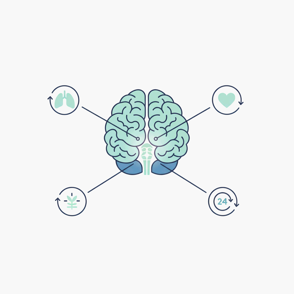 뇌간이 생명 유지를 조율하는 자동 시스템을 상징적으로 표현한 미니멀 과학 일러스트레이션