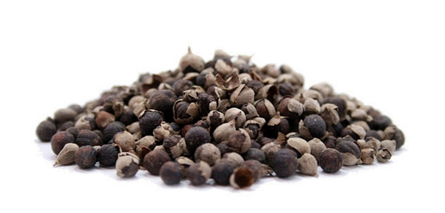 야생에서 채취를 한 만형자 열매를 깨끗하게 세척을 한 후에 건조한 것을 하얀 바닥 위에 수북하게 쌓아두고 찍은 사진