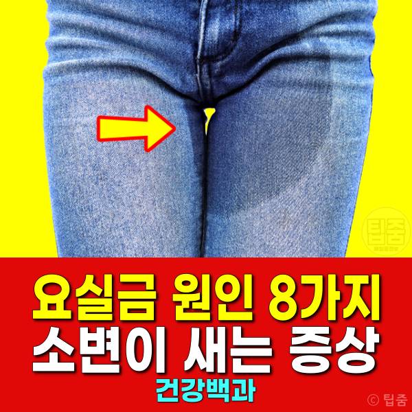 소변이 새요 요실금 원인 자궁암 폐경 당뇨병 전립선 요로감염