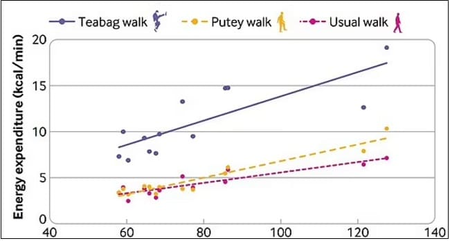 이렇게 걸으면 에너지 소모 2.5배 더들어 VIDEO: Study finds walking 'Teabag style' uses more energy than walking normally