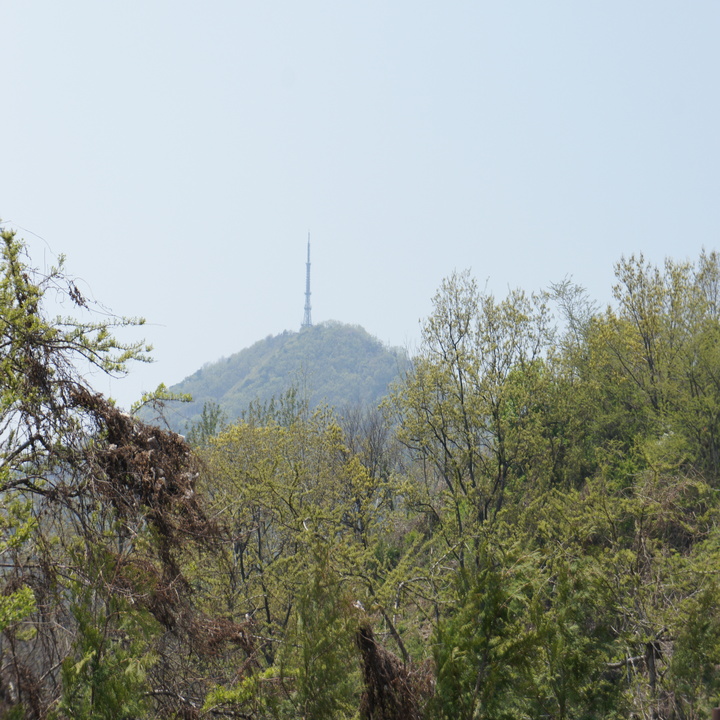 계양산