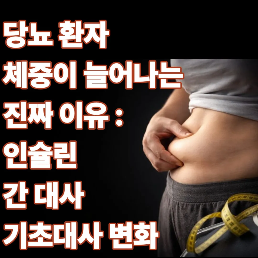 당뇨 환자 체중이 늘어나는 진짜 이유: 인슐린&middot;간 대사&middot;기초대사 변화