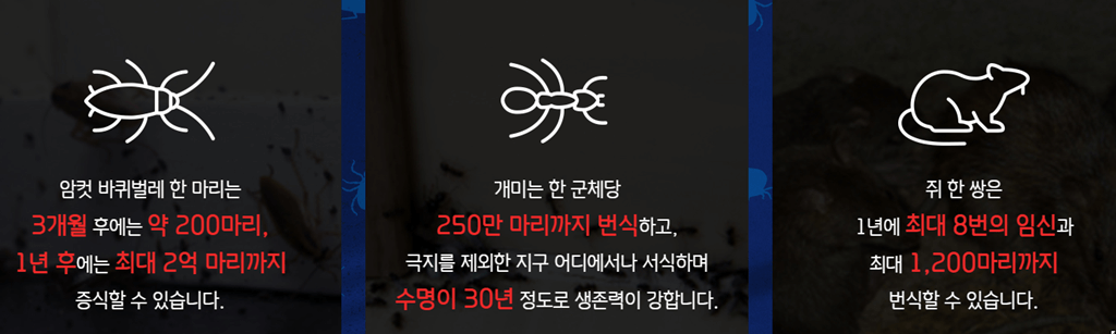 집벌레 번식 능력