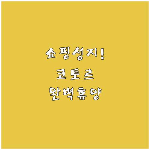 비카지 카마 플레이스 쇼핑 가이드와 ..