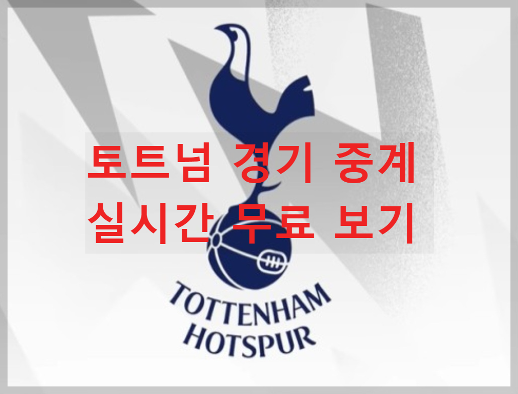 토트넘경기