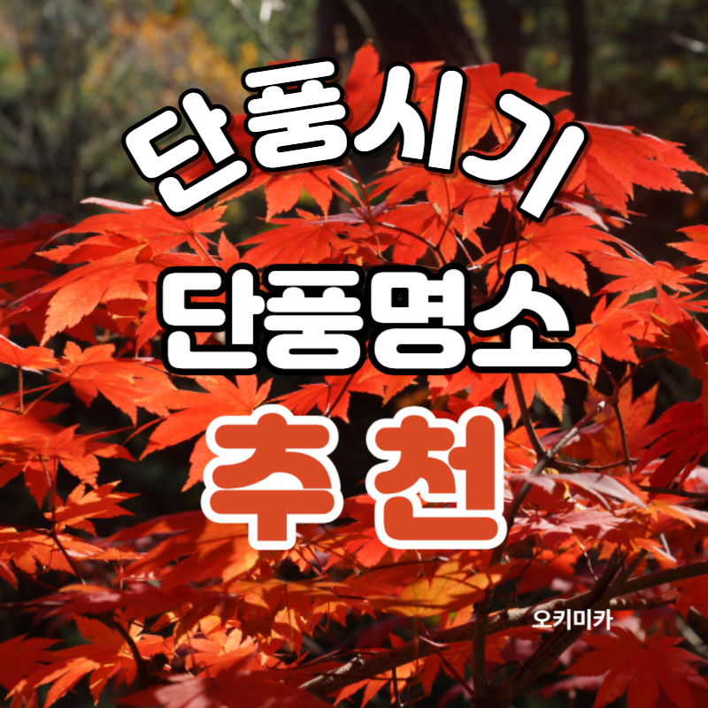 단풍절정시기_단풍명소